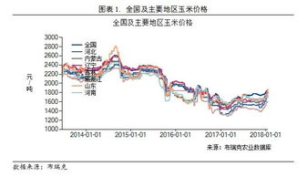 玉米保护价政策最新动态，保障农民利益，推动产业稳定发展