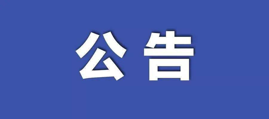 新澳门正版资料免费公开查询,准确资料解释落实_XE版53.825