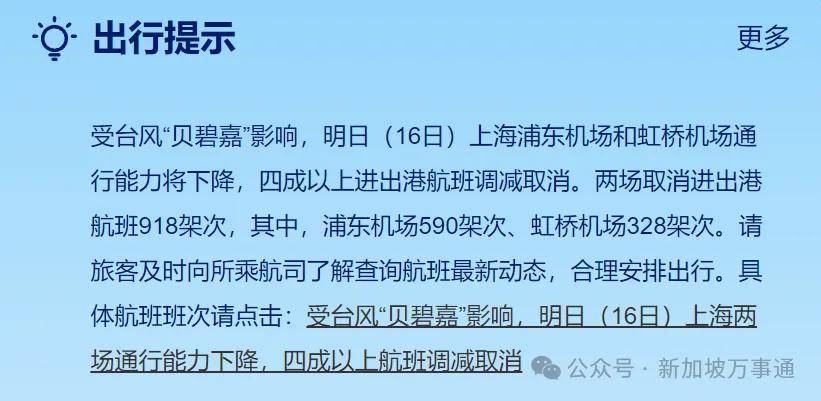 上海航班取消最新消息引发的深度探讨与影响分析