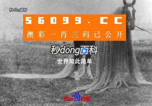 澳门一肖一码一必中一肖,连贯性方法评估_The51.450