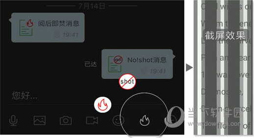 管家婆一码一肖正确,实地考察分析数据_yShop91.490