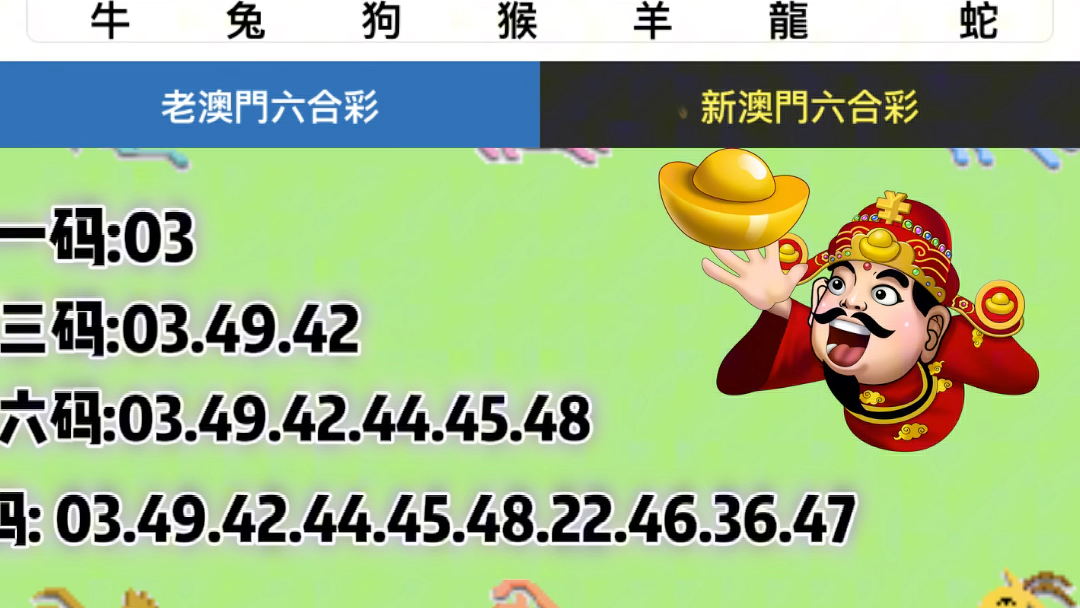 六开彩澳门开奖结果查询,精细解答解释定义_优选版36.681