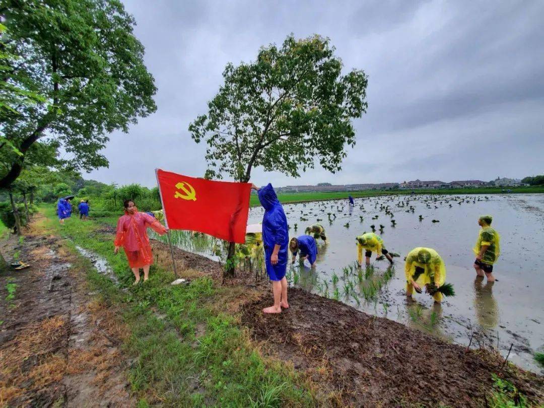 南浔区农业农村局新项目推动农业现代化助力乡村振兴