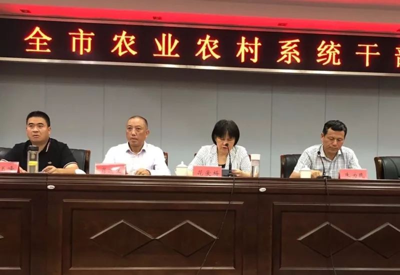 武昌区农业农村局人事任命揭晓，塑造农业未来新格局