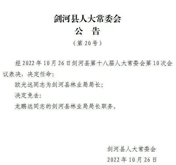 刘河乡最新人事任命公告