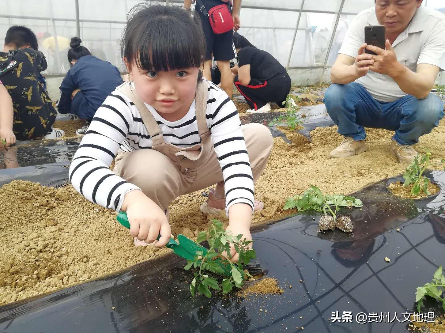 黔西县小学未来发展规划蓝图