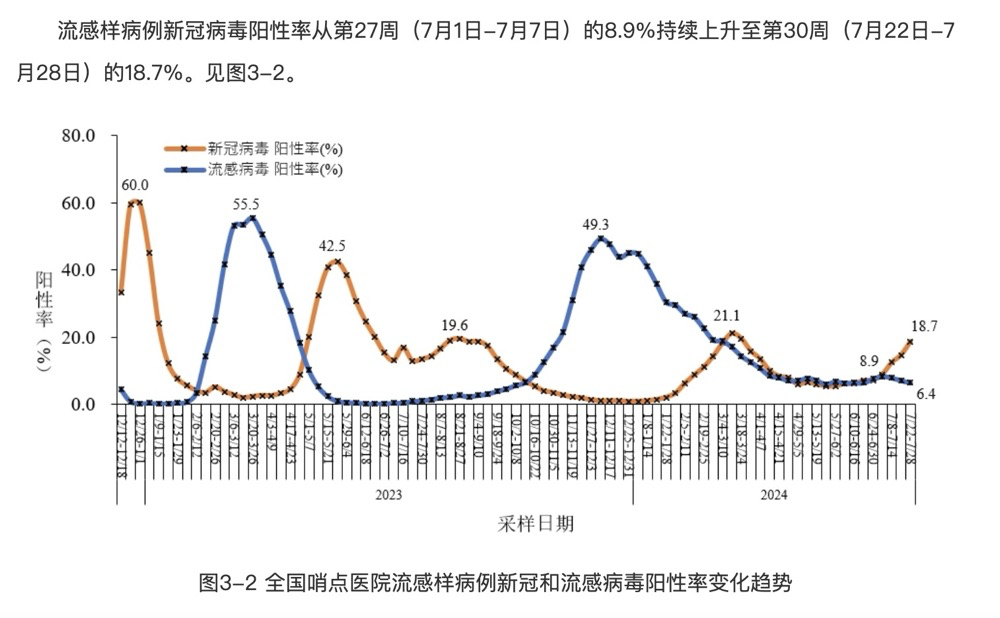 2024年11月份新病毒,定性解析说明_定制版6.22