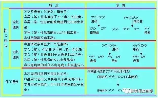 2024澳门特马今晚开奖56期的,稳定设计解析策略_战略版43.685