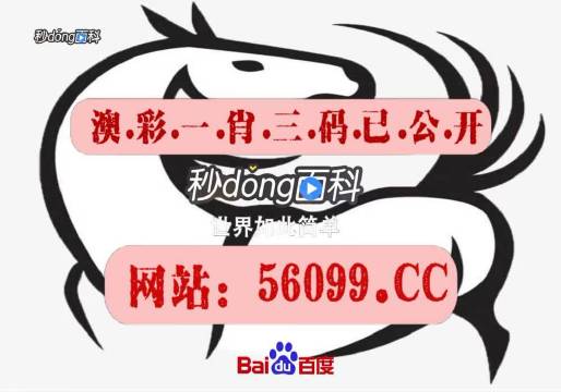 澳门王中王100%的资料三中三,经典解答解释定义_复刻版46.809