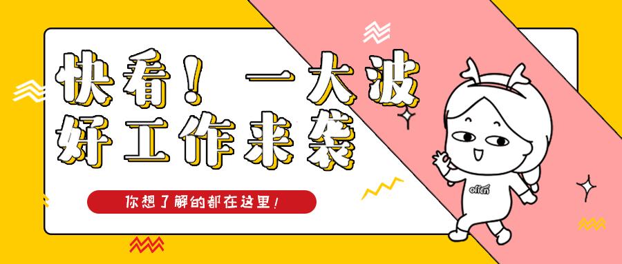 印江土家族苗族自治县小学最新招聘公告概览