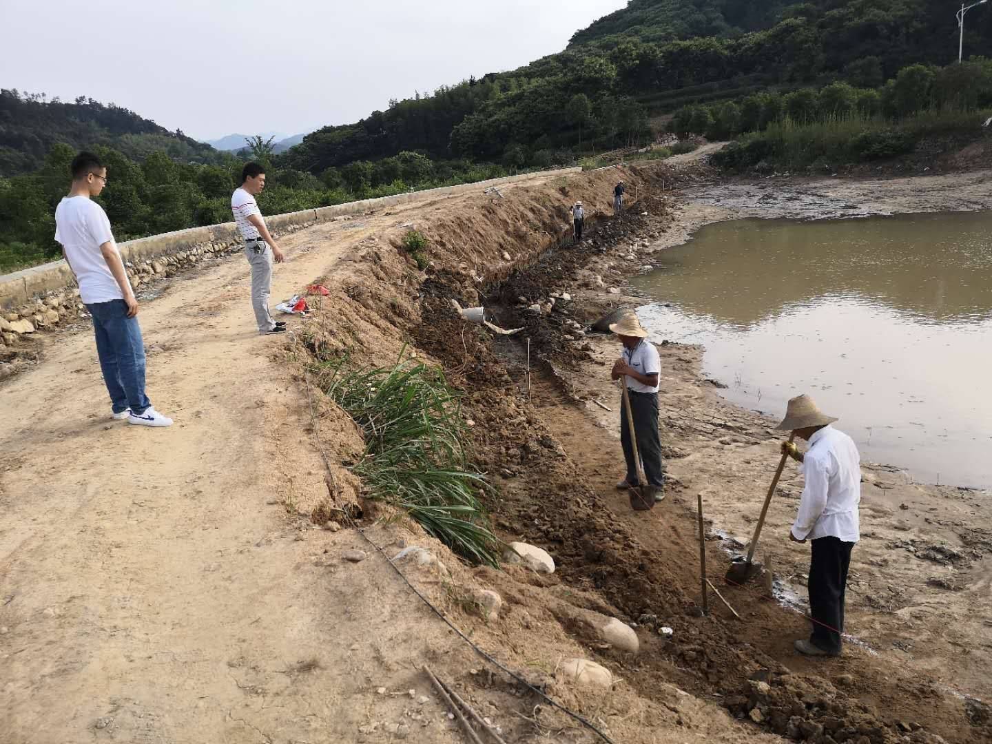 四河村委会最新项目，乡村振兴典范引领之路