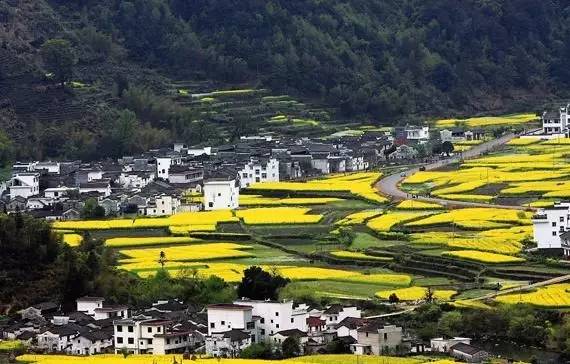 小荆村最新资讯报道