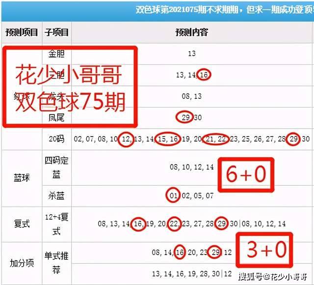 白小姐今晚特马期期准六,动态说明解析_pro81.249