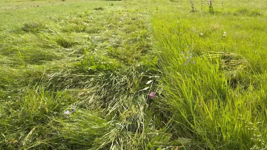 贺斯格乌拉农牧场天气预报更新通知