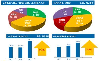 2024新奥正版资料免费提供,深层设计数据策略_kit90.820