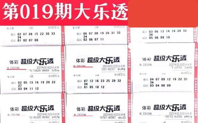 二四六天天彩资料大公开,深入数据执行方案_铂金版11.773