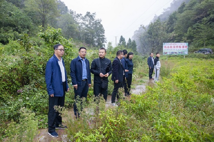 柏树坝村委会最新动态报道