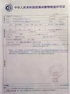 胶南市防疫检疫站最新招聘信息及职业机会探讨