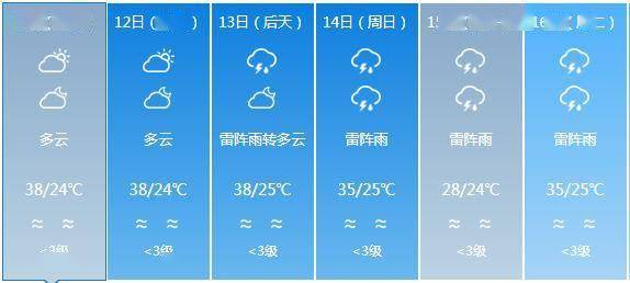 2024年12月17日 第2页