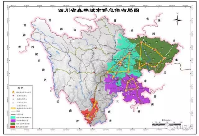 2024年12月18日 第31页