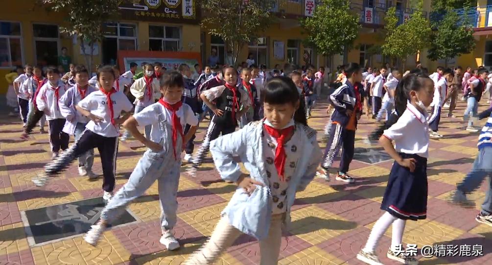 鹿泉市小学未来教育蓝图发展规划揭秘，塑造未来教育新篇章