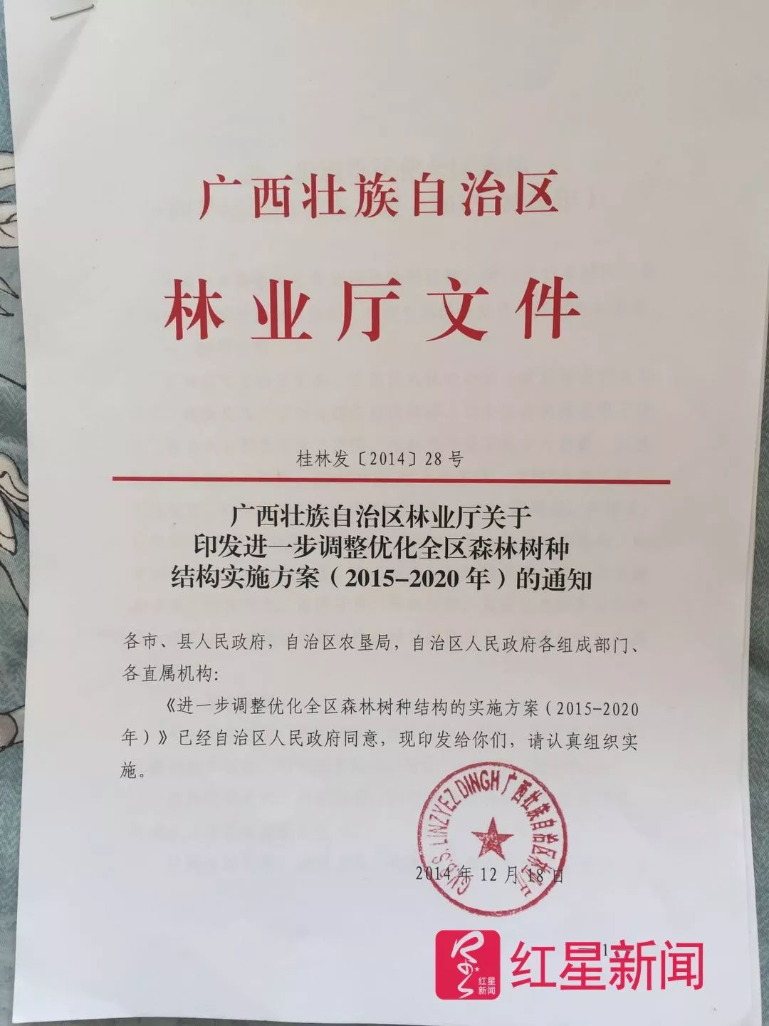 桑寨村民委员会最新人事任命，重塑乡村领导团队，推动社区发展新篇章