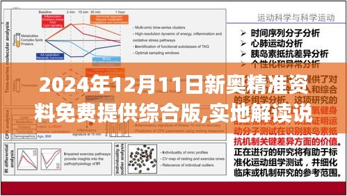 2024新奥免费资料,实效解读性策略_复刻版53.205