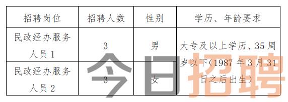 芦溪县民政局最新招聘信息详解