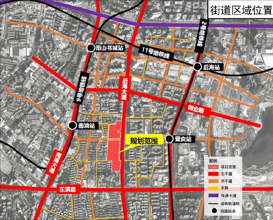 2024年12月20日 第10页