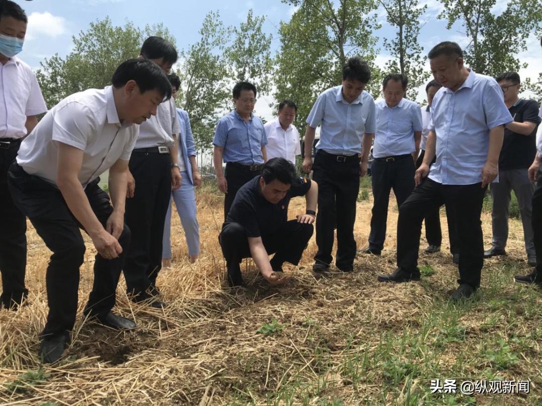 黄台岗镇最新发展规划，塑造未来繁荣蓝图