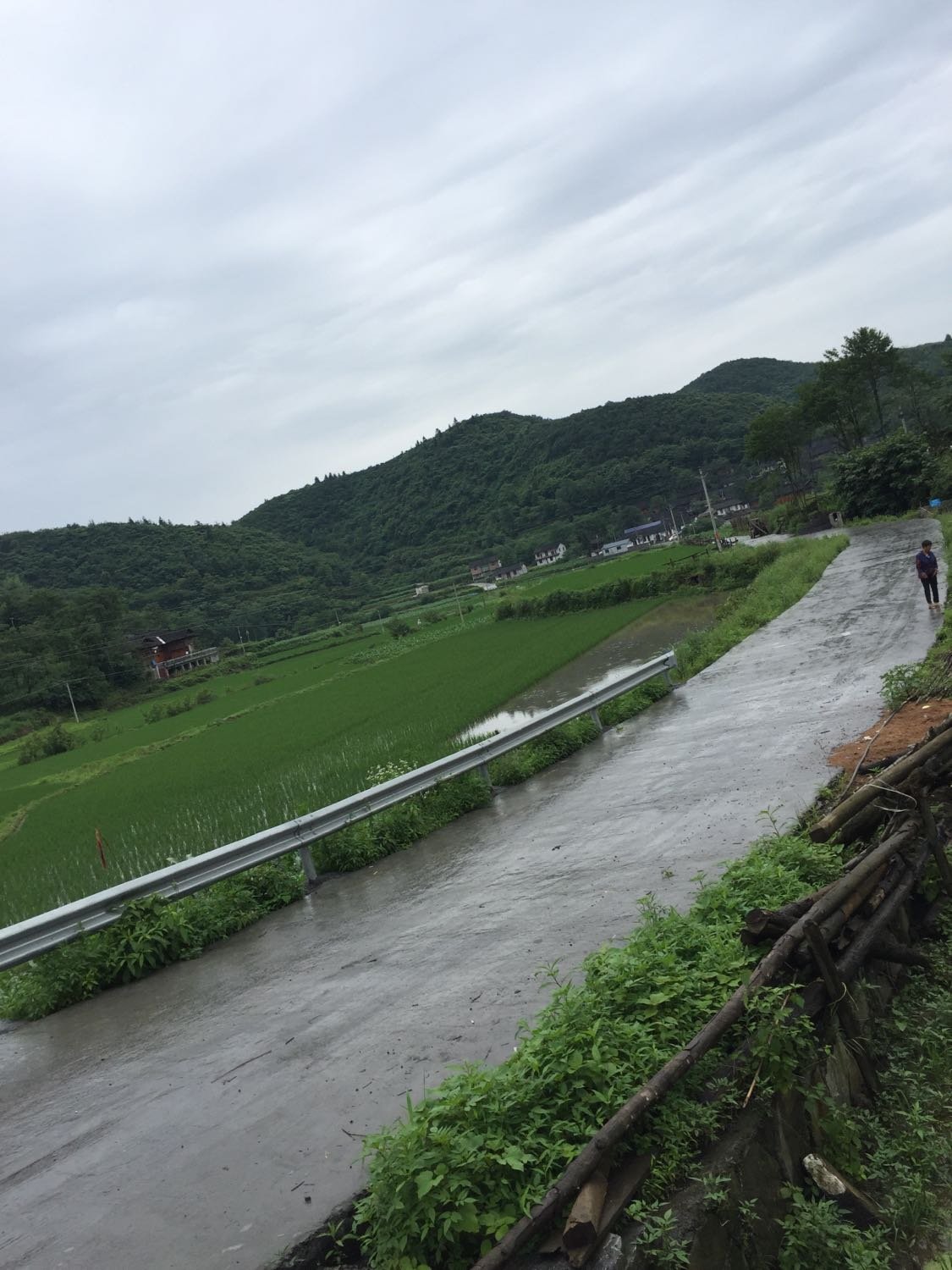 梨树垭村委会最新天气预报