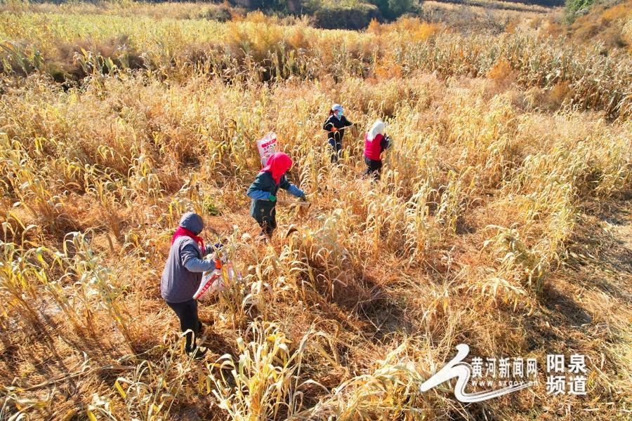 山西省阳泉市盂县孙家庄镇最新新闻动态