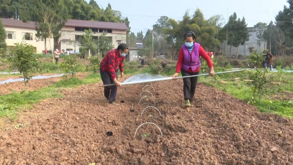 单县公路运输管理事业单位最新项目研究概况