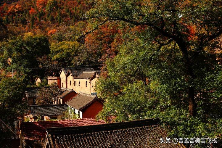 河山村新任领导引领乡村开启繁荣新篇章