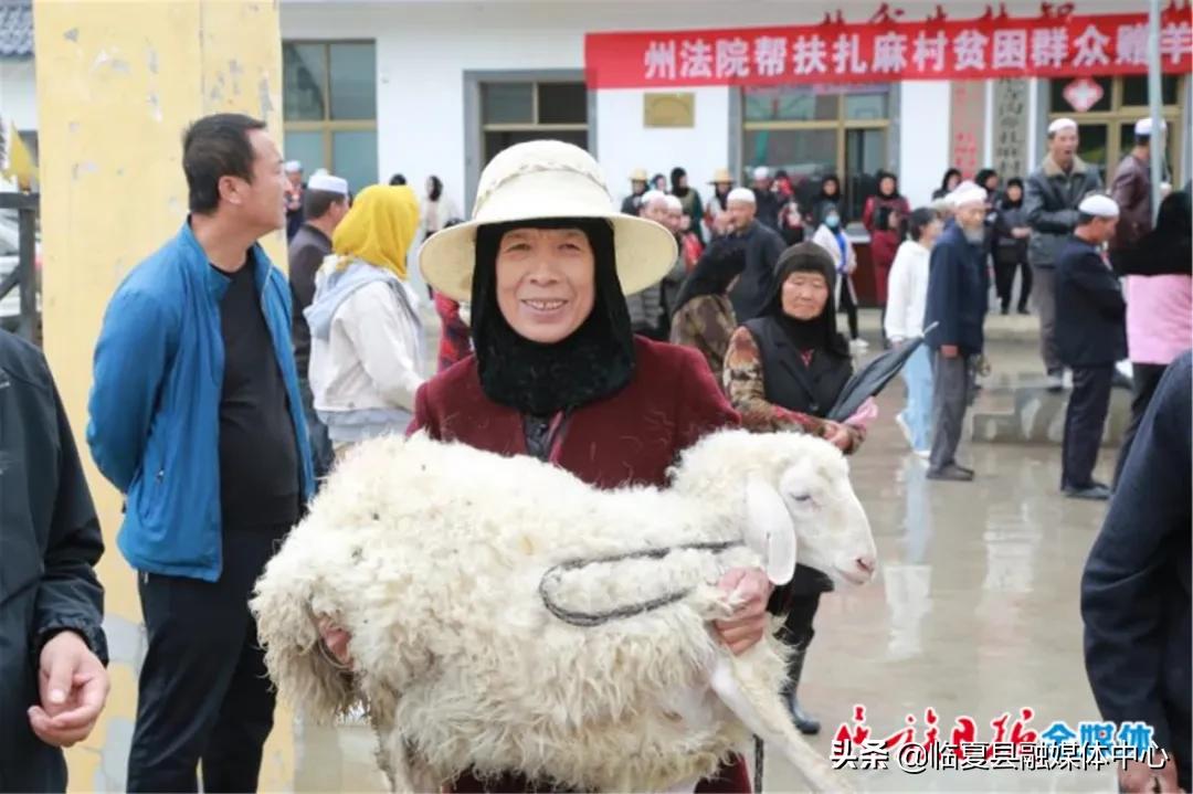 麻尼寺沟村委会迈向繁荣和谐新时代的最新发展规划