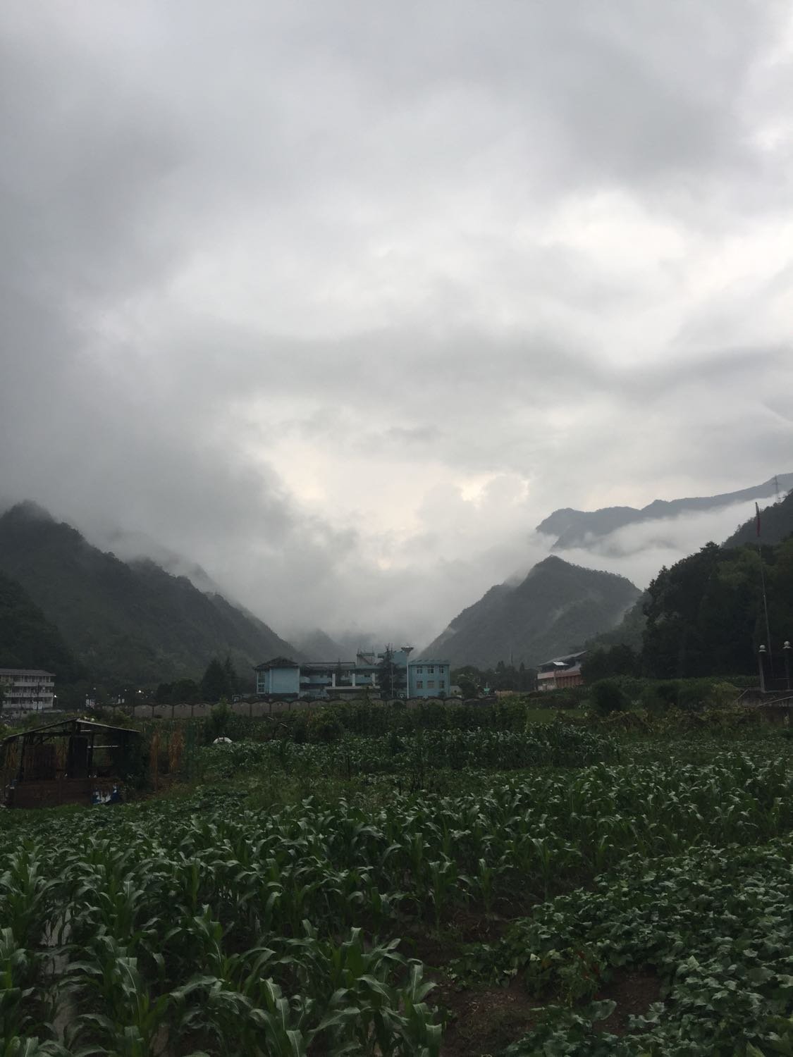 岩榴村天气预报更新通知