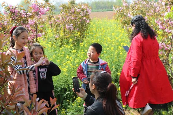 姚庄回族乡天气预报更新通知