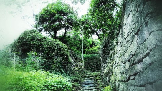 蛇蟠乡发展规划揭秘，塑造乡村新面貌，引领未来新发展之路